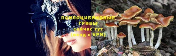 соль ск Гусиноозёрск