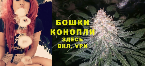 соль ск Гусиноозёрск