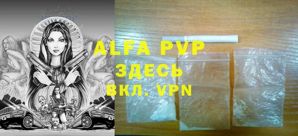 бошки Гусев