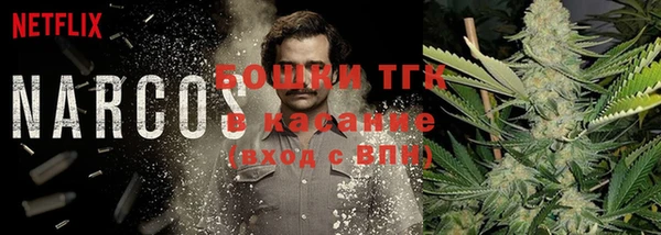 бошки Гусев
