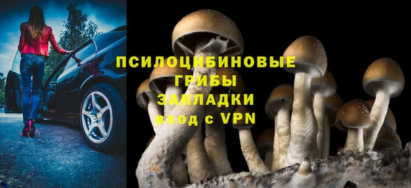 бошки Гусев