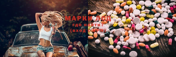 бошки Гусев